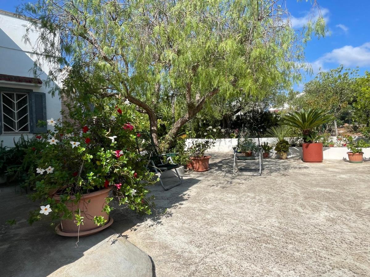 Villa Gioia Ostuni Kültér fotó
