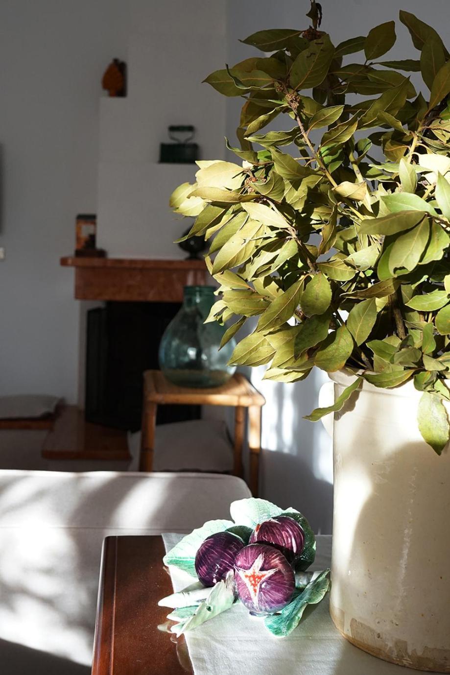 Villa Gioia Ostuni Kültér fotó